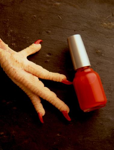 Fotografia de E S fotografia - Galeria Fotografica: fotogaleria 2 ms bodegones - Foto: pata gallina