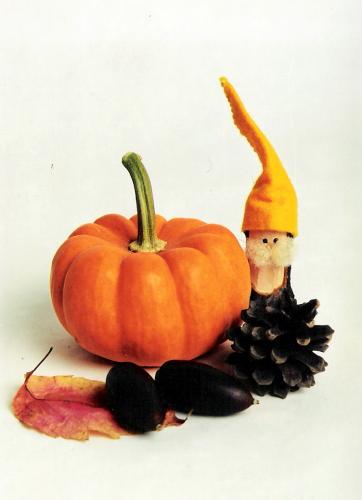 Fotografia de Pilar - Galeria Fotografica: Color - Foto: Enanito