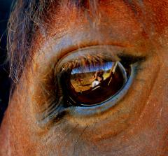 Fotografia de Pilar - Galeria Fotografica: Color - Foto: 