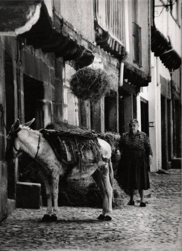Fotografia de Pilar - Galeria Fotografica: B/N - Foto: Se�ora con burro