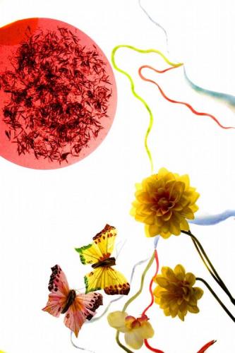 Fotografia de Alvaro F. Prieto - Galeria Fotografica: bodegones - Foto: primavera