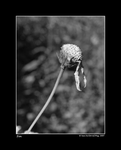 Fotografia de Xan Xe Corral - Galeria Fotografica: Sensacins - Foto: Fin