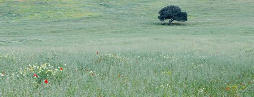 Fotografia de juanjo pons - Galeria Fotografica: fotografias de menorca - Foto: 