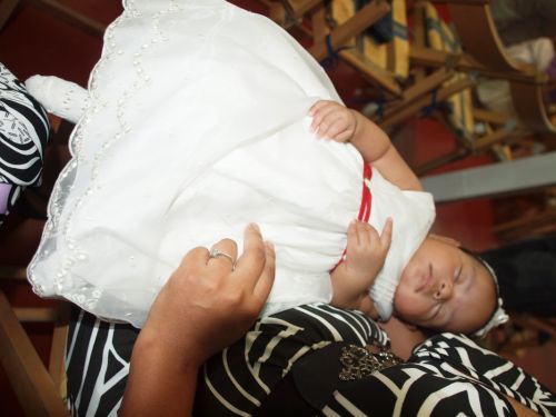 Fotografia de GUADALUZ - Galeria Fotografica: Elizabeth - Foto: 