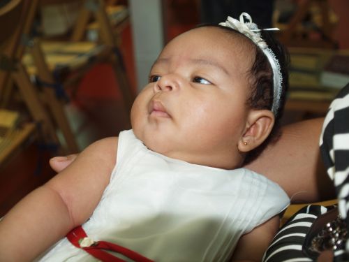 Fotografia de GUADALUZ - Galeria Fotografica: Elizabeth - Foto: 