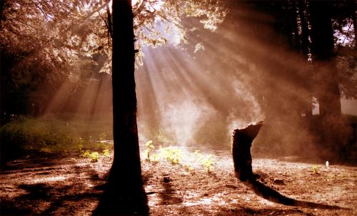 Fotografia de Alejandro Barrag�n - Galeria Fotografica: Portafolios - Foto: Nuevo sol