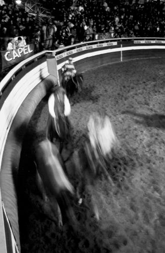 Fotografia de marcelo ulz - Galeria Fotografica: de blanco y gris es mi ciudad - Foto: 