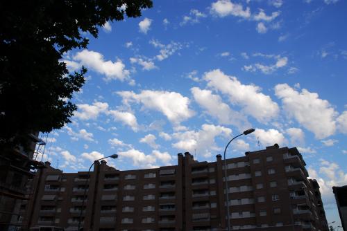 Fotografia de Roger - Galeria Fotografica: Mas mundo - Foto: Mirando arriba