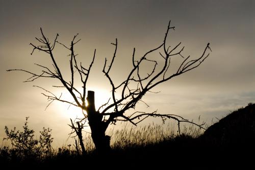 Fotografia de Roger - Galeria Fotografica: Mas mundo - Foto: Soledad
