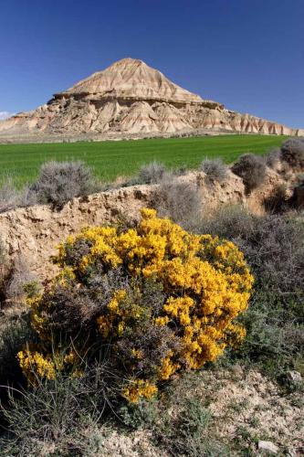 Fotografia de Jon Maeso - Galeria Fotografica: Irudi natura - Foto: Contrastes