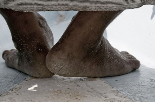 Fotografia de Alex Martin Ros - Galeria Fotografica: Mi trabajo. - Foto: Pies