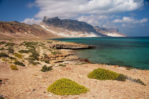 Fotografia de Alex Martin Ros - Galeria Fotografica: Mi trabajo. - Foto: Socotra