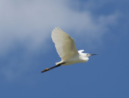 Fotografia de Burgaz - Galeria Fotografica: INSTANTANEAS - Foto: 