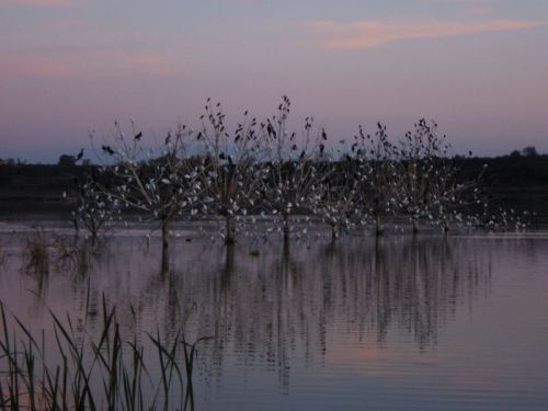 Fotografia de Burgaz - Galeria Fotografica: INSTANTANEAS - Foto: 