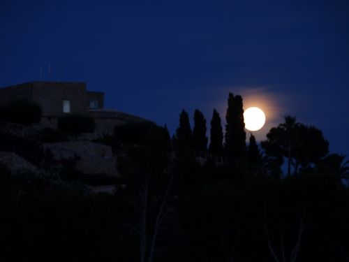 Fotografia de Charo Guijarro Izquierdo - Galeria Fotografica: MALLORCA - Foto: 