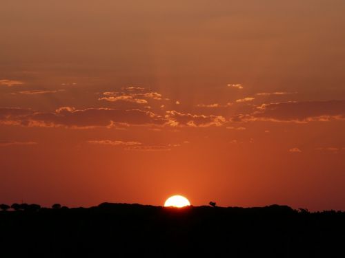 Fotografia de Charo Guijarro Izquierdo - Galeria Fotografica: MALLORCA - Foto: 