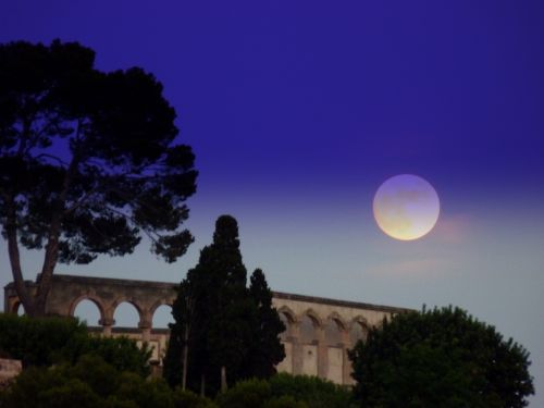 Fotografia de Charo Guijarro Izquierdo - Galeria Fotografica: MALLORCA - Foto: 