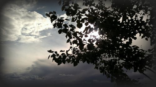 Fotografia de Charo Guijarro Izquierdo - Galeria Fotografica: MALLORCA - Foto: 