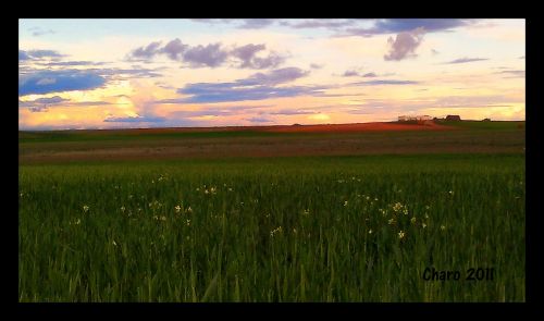 Fotografia de Charo Guijarro Izquierdo - Galeria Fotografica: MALLORCA - Foto: 