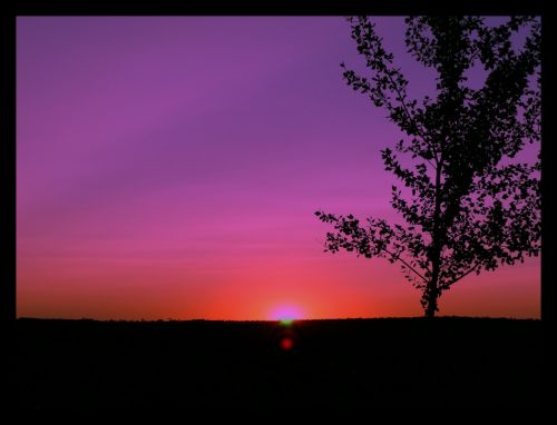 Fotografia de Charo Guijarro Izquierdo - Galeria Fotografica: MALLORCA - Foto: 