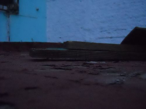 Fotografia de MPhoto Live - Galeria Fotografica: MPhoto Live - Foto: 