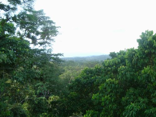 Fotografia de Gabychiki138 - Galeria Fotografica: Ecuador - Foto: 