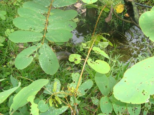 Fotografia de Gabychiki138 - Galeria Fotografica: Ecuador - Foto: 