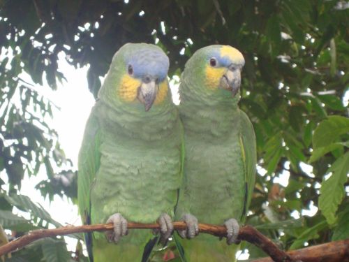 Fotografia de Gabychiki138 - Galeria Fotografica: Ecuador - Foto: 