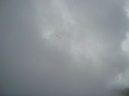 Fotografia de Gabychiki138 - Galeria Fotografica: Ecuador - Foto: En el Ruco Pichincha