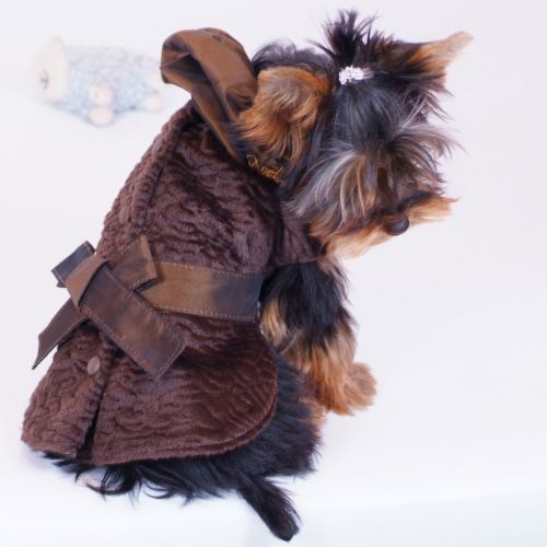 Fotografia de NOEL ET CHLO - Galeria Fotografica: PERROS - Foto: Kyra