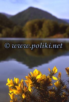 Fotografia de poliki - Galeria Fotografica: Fotos de naturaleza y paisaje - Foto: Embalse de Lareo (Ataun)