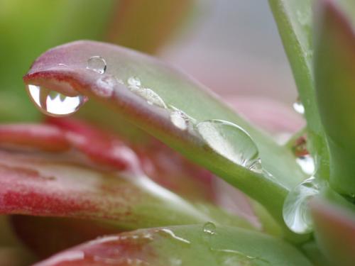 Fotografia de Busca2 - Galeria Fotografica: El Agua - Foto: Despus de la Tormenta