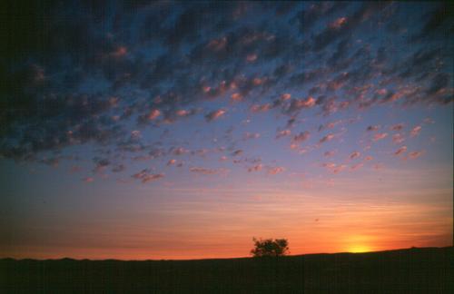 Fotografia de Yuyatwi - Galeria Fotografica: Paisajes del mundo - Foto: Plumas encendidas