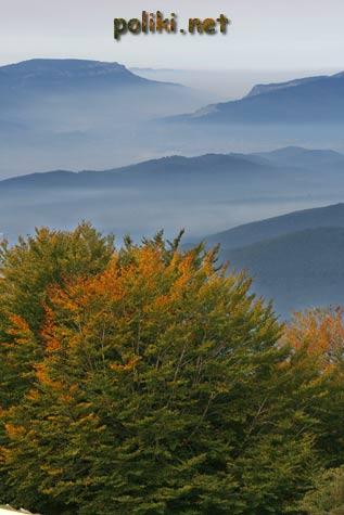 Fotografia de poliki - Galeria Fotografica: Fotos de naturaleza y paisaje - Foto: Otoo en la Sakana