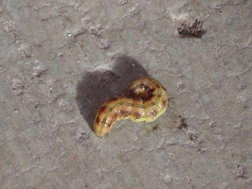 Fotografia de Elignaro - Galeria Fotografica: Los encuentros - Foto: Siempre