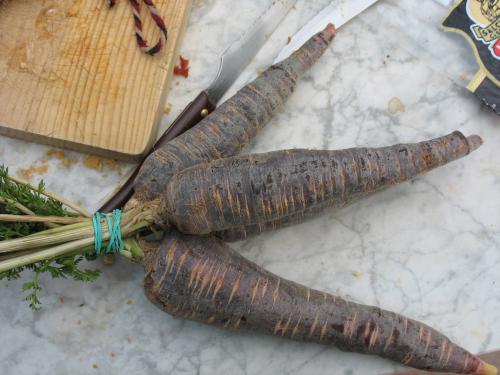 Fotografia de jes�s - Galeria Fotografica: mis flores II - Foto: zanahoria de Cuevas Bajas