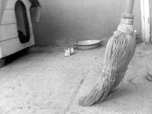 Fotografia de FabinLarrea - Galeria Fotografica: el perro fantasma - Foto: 