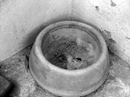 Fotografia de FabinLarrea - Galeria Fotografica: el perro fantasma - Foto: 