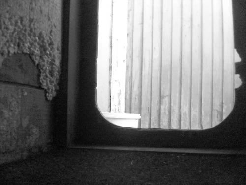 Fotografia de FabinLarrea - Galeria Fotografica: el perro fantasma - Foto: 