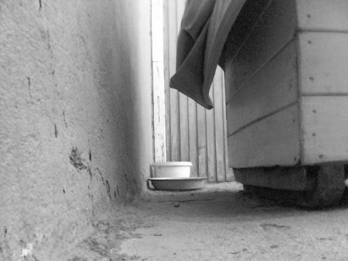 Fotografia de FabinLarrea - Galeria Fotografica: el perro fantasma - Foto: 