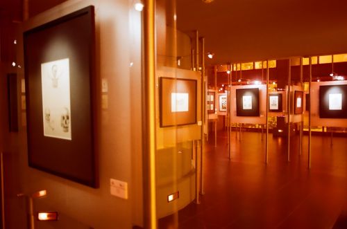 Fotografia de JOMIEG - Galeria Fotografica: AGUASCALIENTES - Foto: 