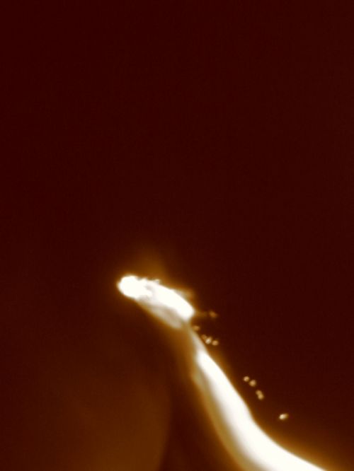 Fotografia de laisa - Galeria Fotografica: Textura Visual - Foto: 