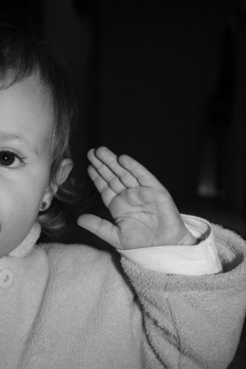 Fotografia de santiky - Galeria Fotografica: PARA TODOS LOS GUSTOS - Foto: 