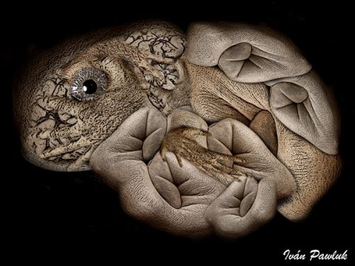 Fotografia de Ivan Pawluk - Galeria Fotografica: MANOS SURREALISTAS - Foto: FETATIS