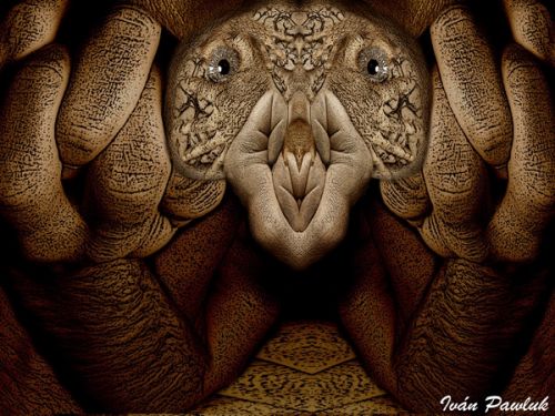 Fotografia de Ivan Pawluk - Galeria Fotografica: MANOS SURREALISTAS - Foto: QUE