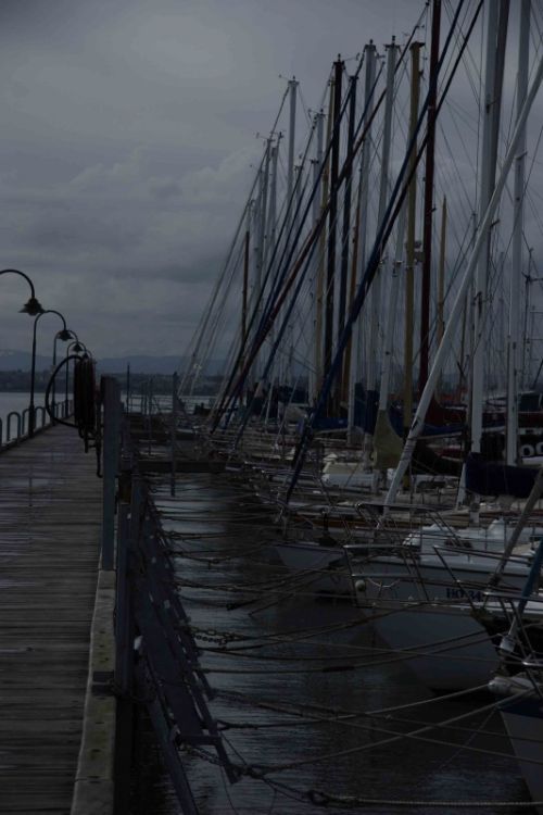 Fotografia de Stuart Polkinghorne - Galeria Fotografica: Naturaleza - Foto: 