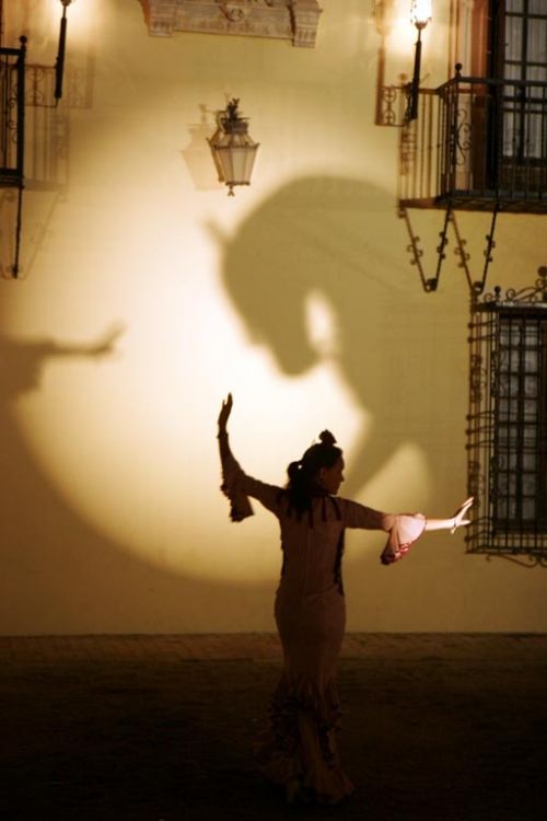 Fotografia de Ivan Navarro - Galeria Fotografica: Fotografa Social - Foto: 