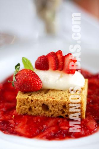 Fotografia de MANOSALBAS - DUAL. SERV- CORP. - Galeria Fotografica: EL GASTRONAUTA - Foto: PLATO-4