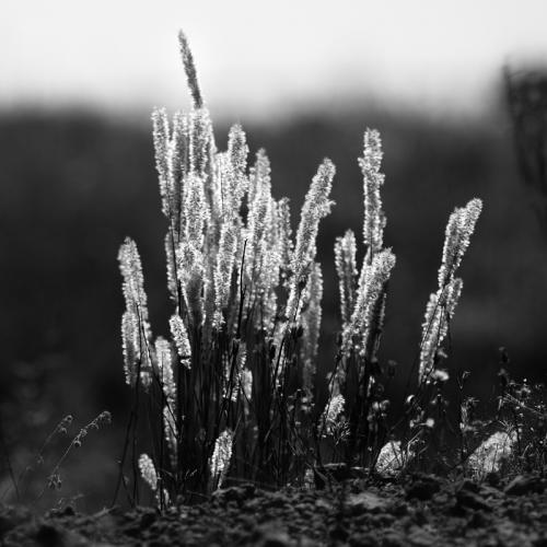 Fotografia de Yez - Galeria Fotografica: Paisajes Manchegos - Foto: Paisajes Manchegos XI