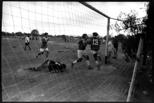 Fotografia de Miguel Navarro Cofr - Galeria Fotografica: 